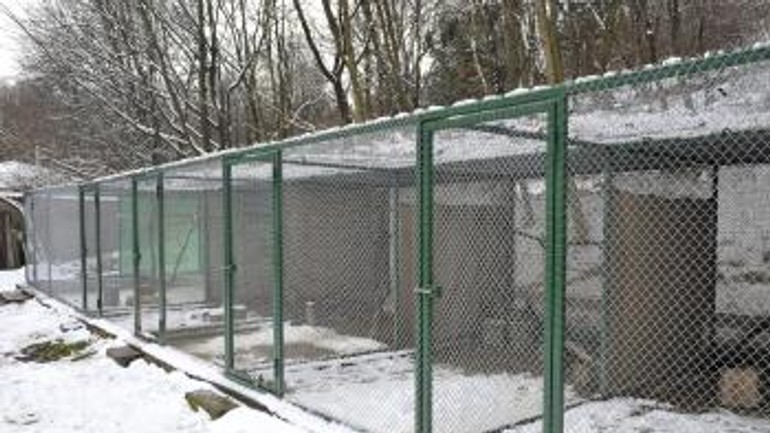 Bratislavská zoo môže liečiť zranené vtáky - Zoo1