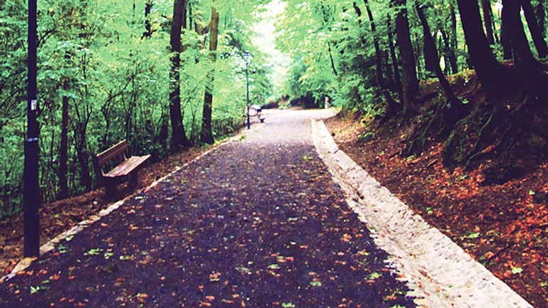 Horský park je zase o niečo krajší - 15_park1