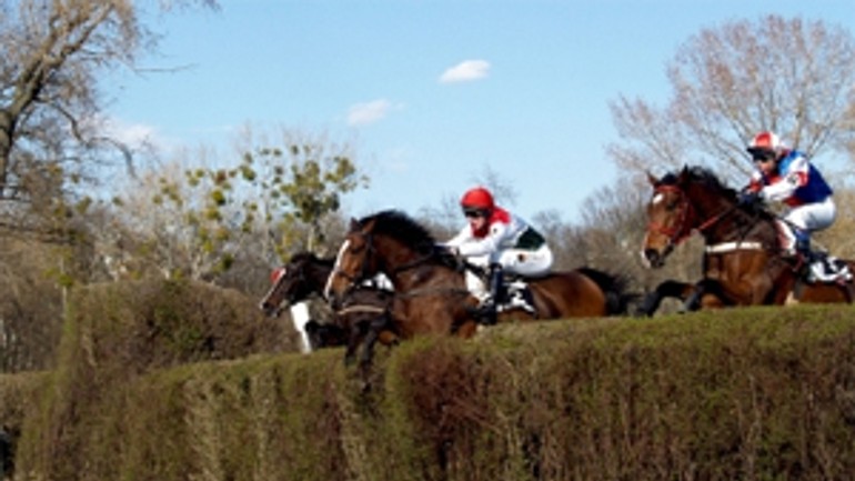 V nedeľu bude na dostihy vstup zadarmo - dostihy1
