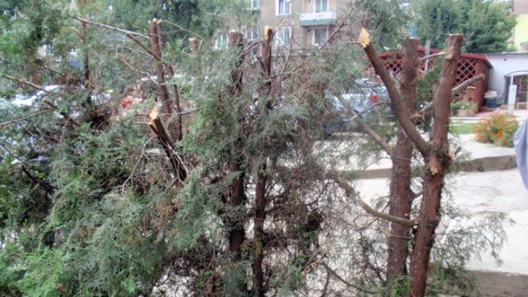 Prostredie si sami ničíme a devastujeme - Zelen1