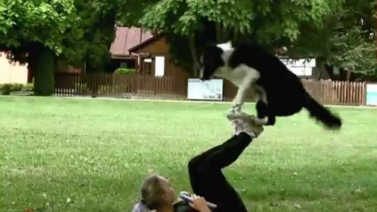 Dostihová dráha patrí milovníkom psích športov - dogdays