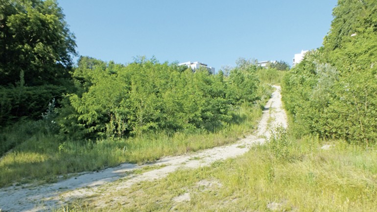 Amfiteáter na búdkovej mohol ešte slúžiť, teraz tam vyrástla džungľa - 15_budkova1