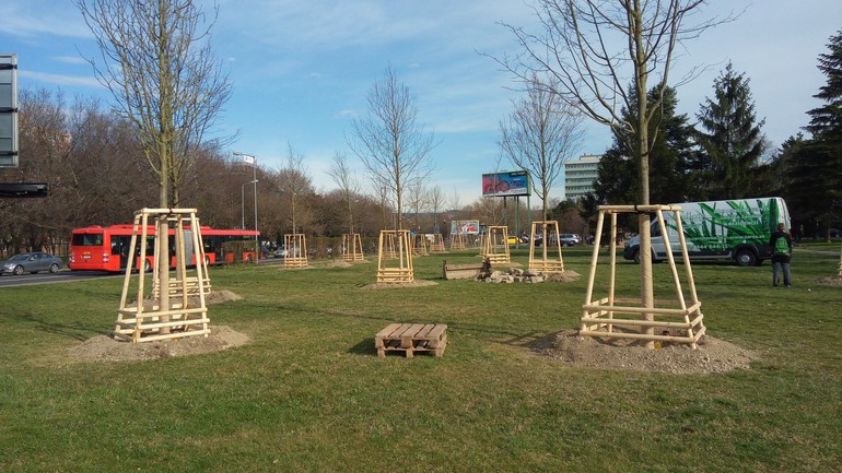 Zasadené stromy v novom ružinovskom parku