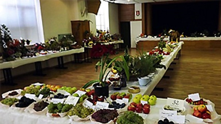 Blíži sa výstava ovocia, zeleniny a kvetov - vystava_ovocia