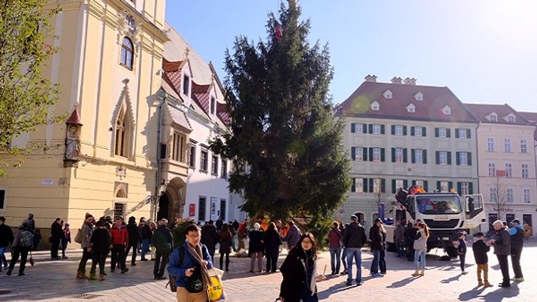 Vianočný stromček už stojí na hlavnom námestí - strom3