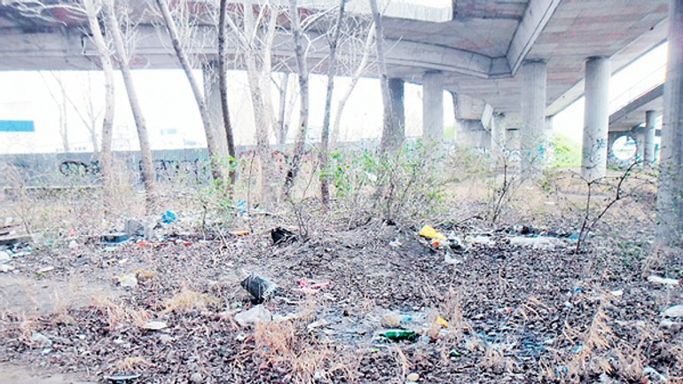 Čierna skládka pri frekventovanej ceste straší bratislavčanov aj turistov - smetisko_panonska