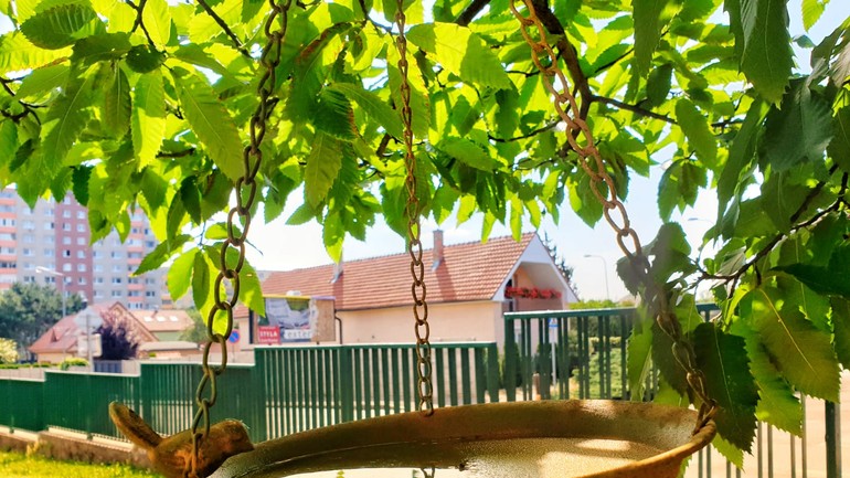 Žatevná vtáčie napájadlo