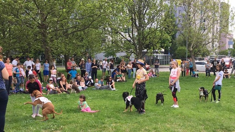 Video - pozrite si úžasnú symbiózu medzi dievčaťom a cvičeným psom - Psi1