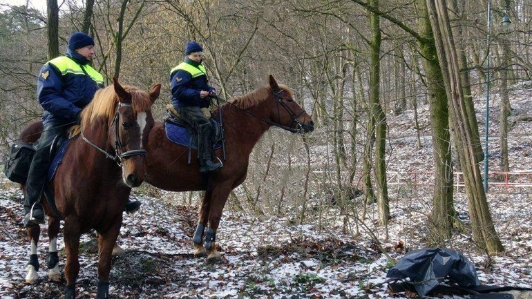 Mestskí policajti na koňoch