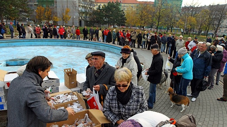 Po cibuľky tulipánov si prišli stovky novomešťanov - Tulipany racko