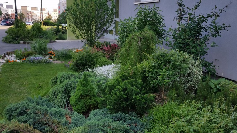 Predzáhradka - Regina Grigláková, Hlaváčikova ulica