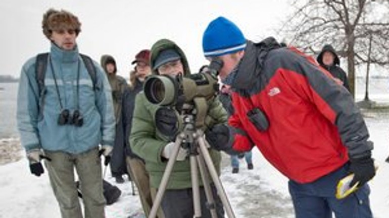V sobotu budú v čunove pozorovať migrujúce vtáky - vtaci_pozorovanie