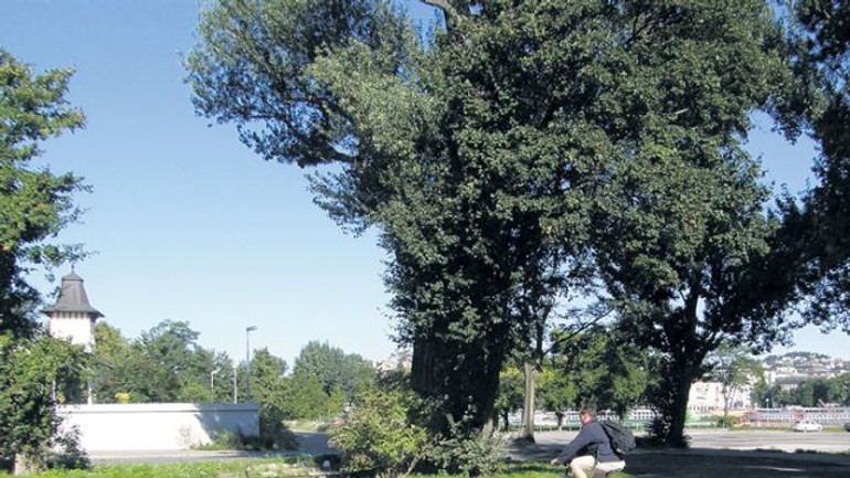 Medzi starým a novým mostom chýba cyklochodník - Cyklochodnik1