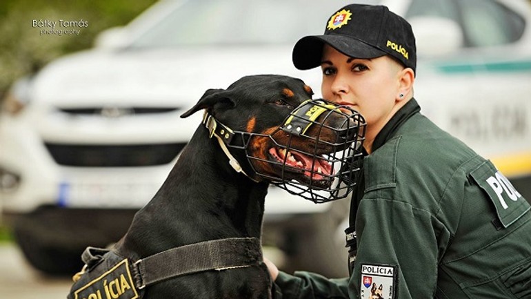 Chcete byť policajtom? môžete si pozrieť ukážky tejto práce i priestory školy - polica fb policia