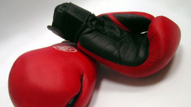 V ružinove sa stretne boxeristická špička zo štyroch krajín - box