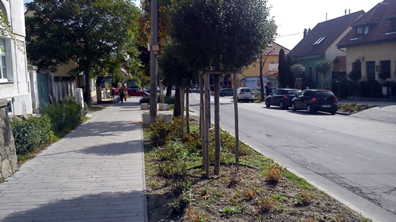 Na detvianskej sme zanedbanú zeleň nenašli - detvianska1