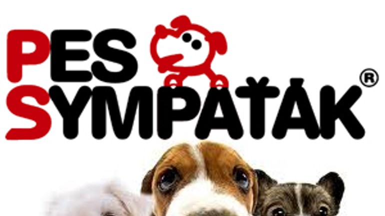 Pes sympaťák sa sťahuje na dunajskú hrádzu - pes_sympatak