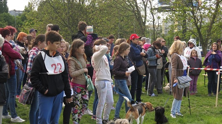 V nedeľu budú v ružinove hľadať naj psích miláčikov - Psikovia