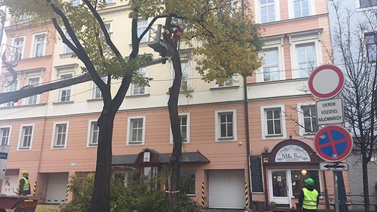 Na námestí snp vyrúbali strom - strom snp2 magistrat