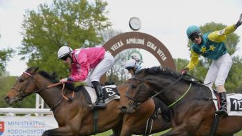 Dostihy: víťazom veľkej aprílovej ceny vetis sa stal valach ideal approach - t_20170416_dostihy_004422358