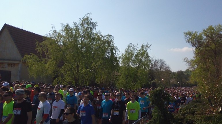 Foto: národný beh devín - bratislva zlomil rekord v počte účastníkov - IMG_20170409_100357