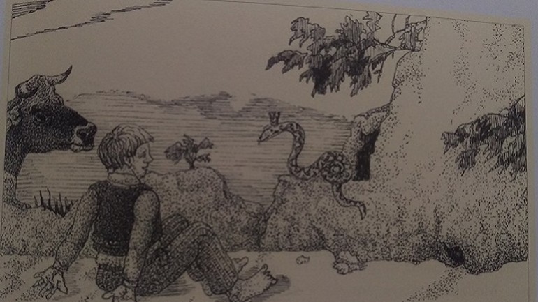 Legendy starej bratislavy: poklad ukrytý nad račou - IMAG1702