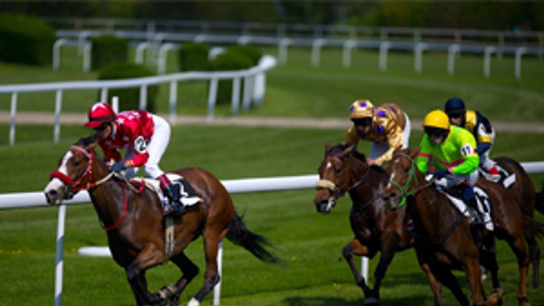 Veľká jarná cena pre favorizovaného legionara - dostihy