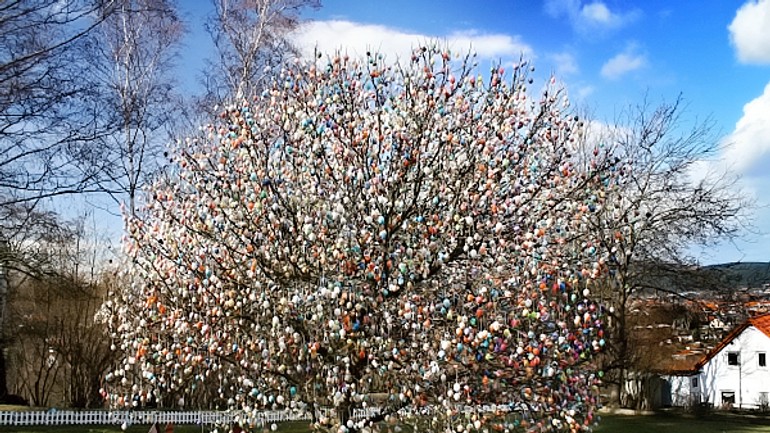 Dúbravka privíta veľkú noc kraslicovými stromami - Eierbaum-Saalfeld-2009-2
