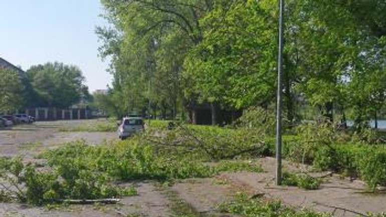 Pre silný vietor padali desiatky stromov a pútačov - vietor_stromy