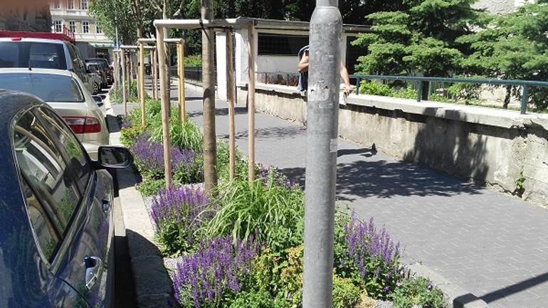 Foto: palackého a kúpeľná sú už po revitalizácii - PA minuloročná výsadba