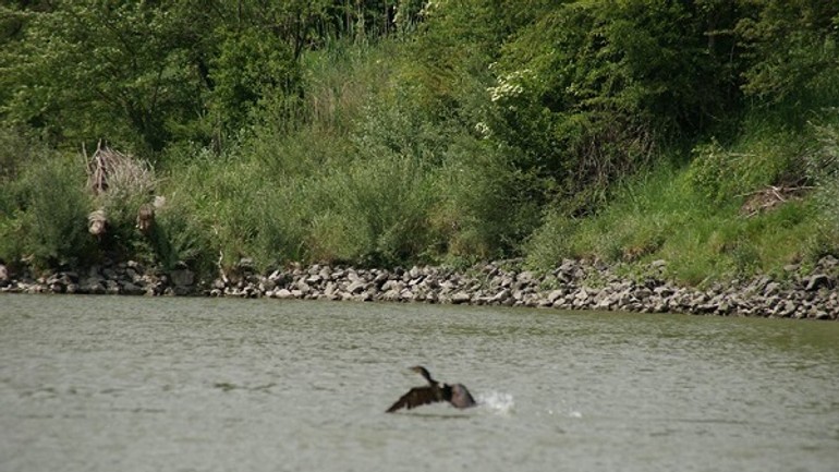Vznik národného parku podunajsko podporili aj mestskí poslanci. pozrite si ich argumenty - NP Podunajsko