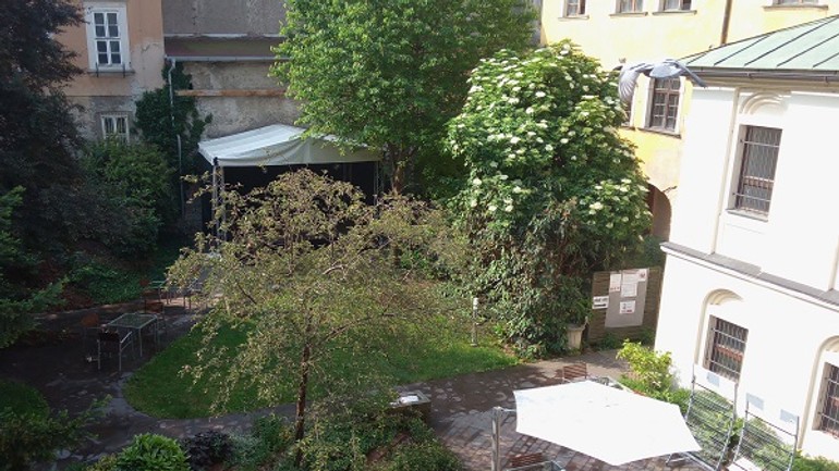 Aký program vás čaká v čitárni u červeného raka? - cerveny rak