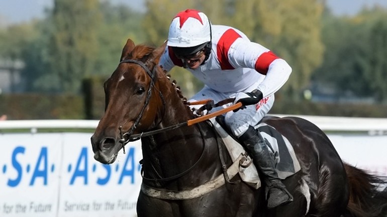 Petržalka bude hostiť pätnásť dostihov - Petržalka_dostihy