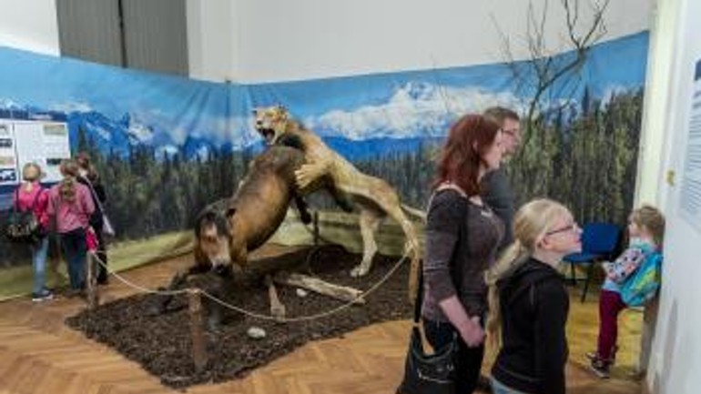 Foto: aj takto prázdninovali bratislavské deti - t_23022017prazdniny_jarne2407722