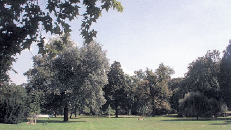 V petržalke má vyrásť unikátny rodinný park - sad_jkrala1