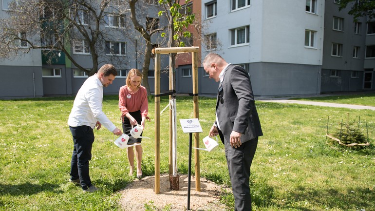 Skutocne obete lipa Petržalka 
