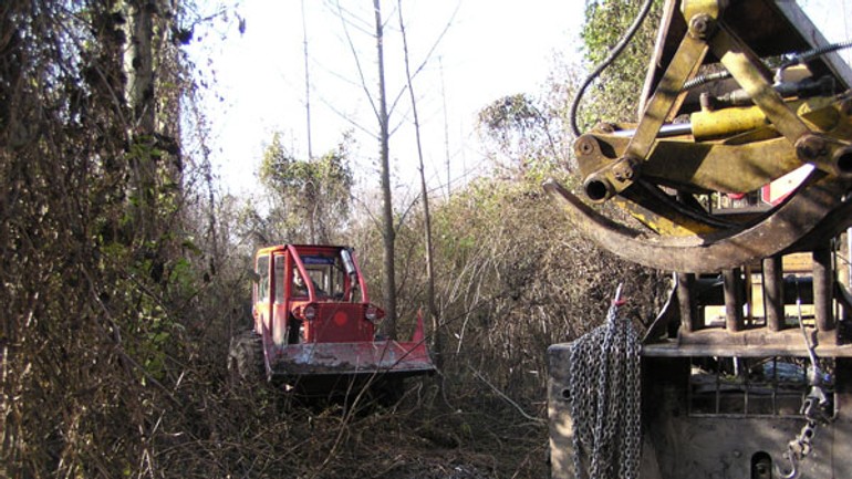 Rúbanie lesa je legálne, ľuďom sa nepáči - Pecniansky les4