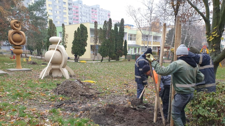 sadenie stromov v Dúbravke 