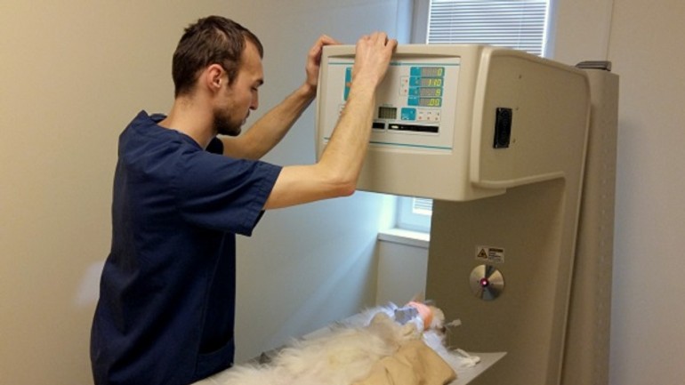 Ct vyšetrenie pre zvieratá funguje už aj v bratislave - Sibra centrum CT pre zvierata