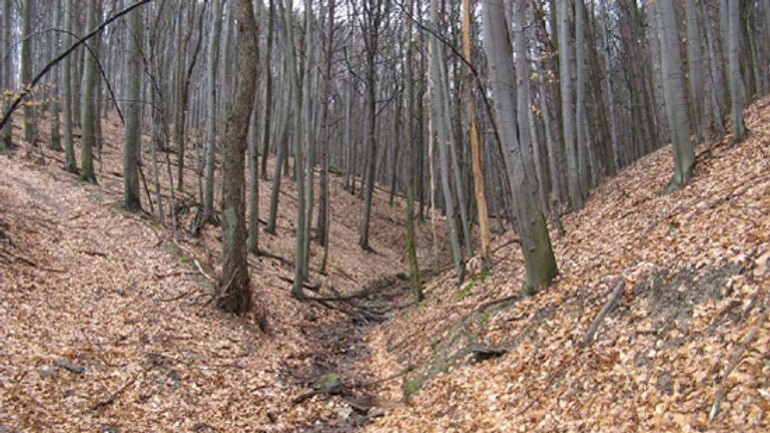 Mesto zverilo pozemky pre stavbu poldra - Pieskovy potok1