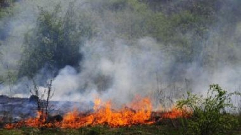 V horúčavách pozor na prírodné ohniská, môžete založiť požiar! - poziar