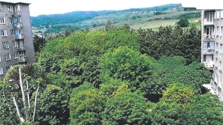 Na hagarovej ulici sa stavať nebude! - hagarova