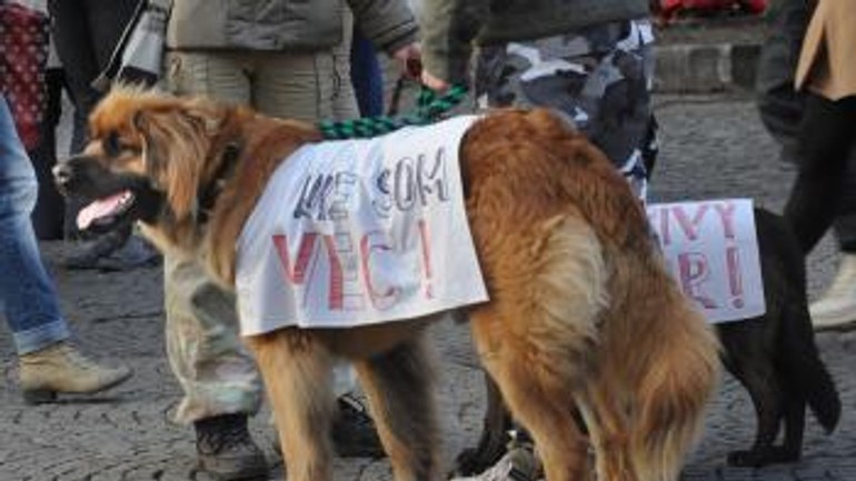 V sobotu bol v bratislave prvý psí pochod - Pes1