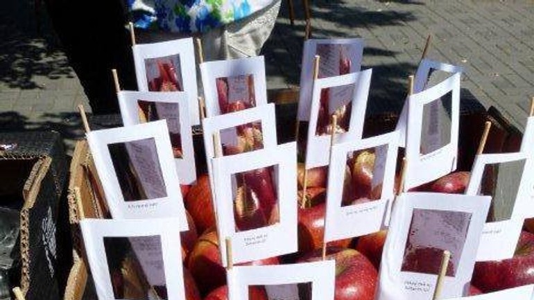 Deň krivých zrkadiel