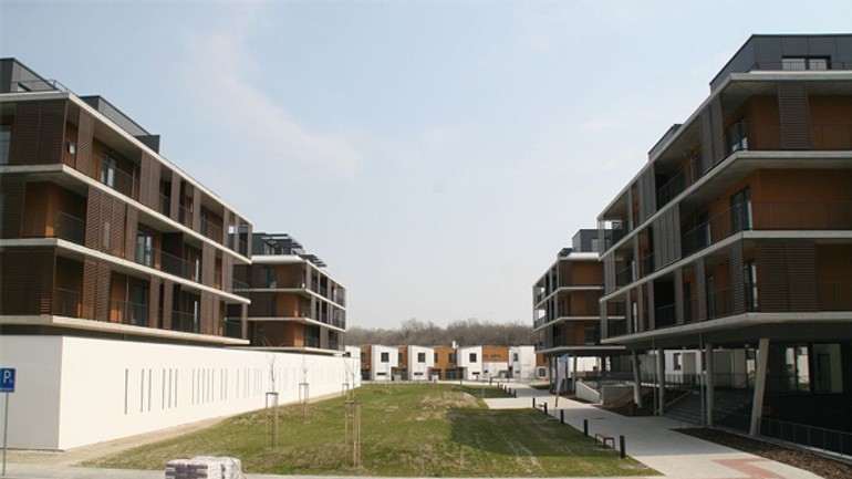 Petržalské slnečnice už kolaudujú - slnecnice1