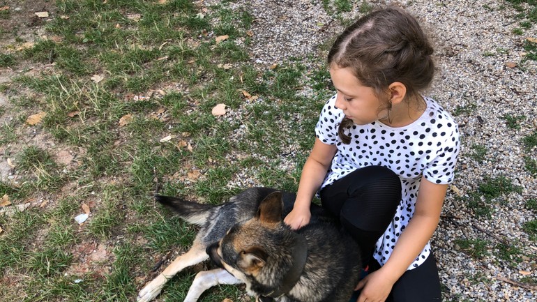 venčenie Sloboda zvierat