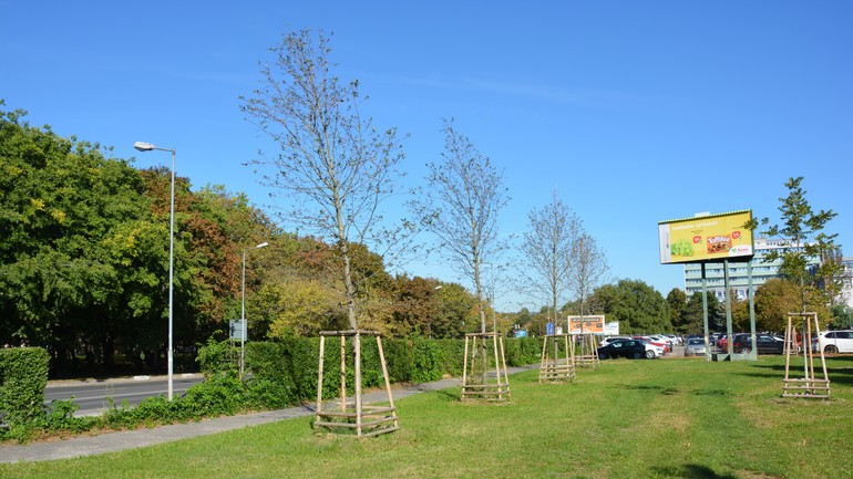 Park pri Paneurópskej vysokej škole v Ružinove