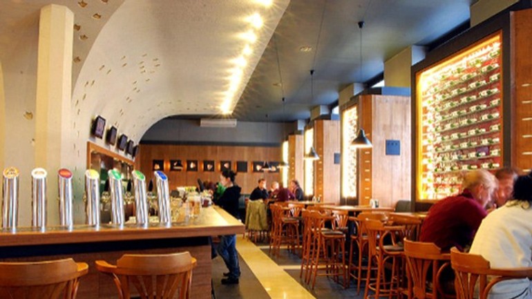 Trafená hus na šafku je stále v agónii - trafena_hus