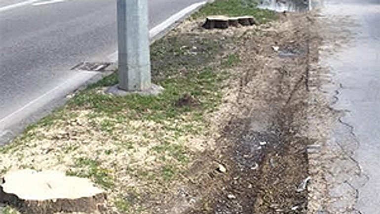 Jégého alej -alebo ochrana developerov - jegeho_vyrub