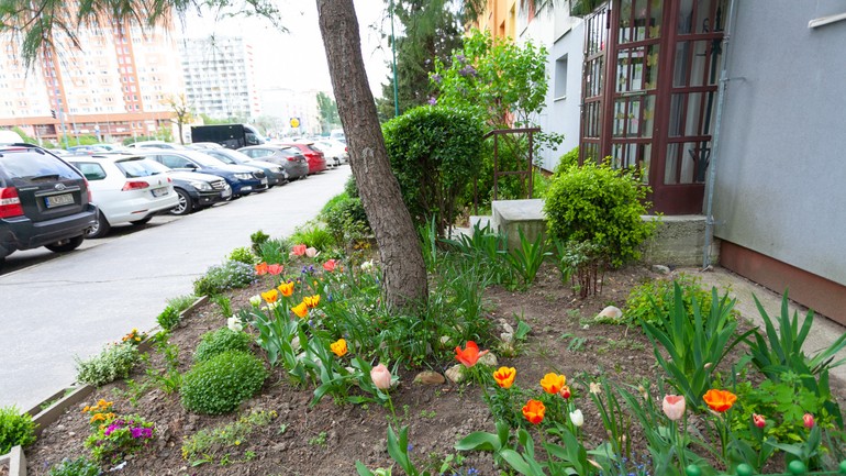 Predzáhradka na Furdekovej